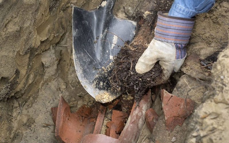 Sewer Line Clogged? Signs and Symptoms You Have a Problem