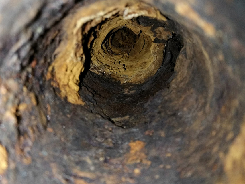 Drain Video Inspection