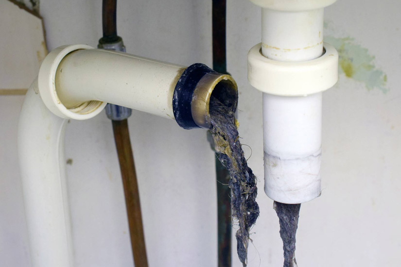 Signs You Need Sewer Line Clearing