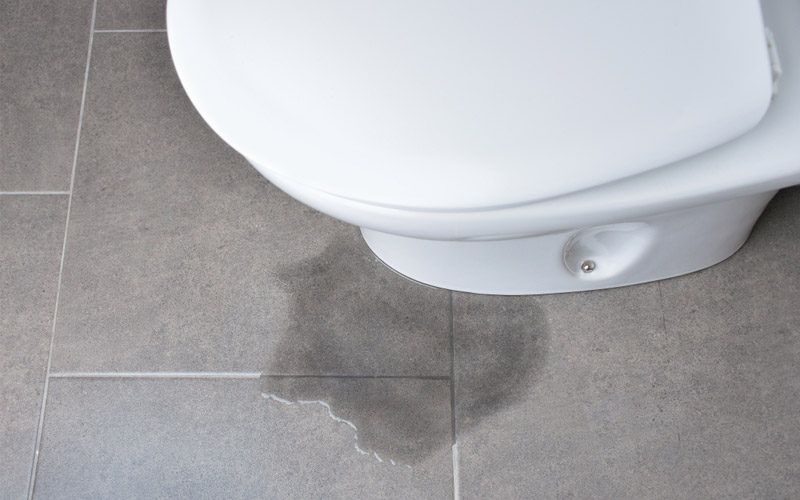 Why Is My Toilet Leaking at The Base?